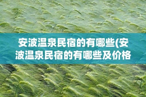 安波温泉民宿的有哪些(安波温泉民宿的有哪些及价格)