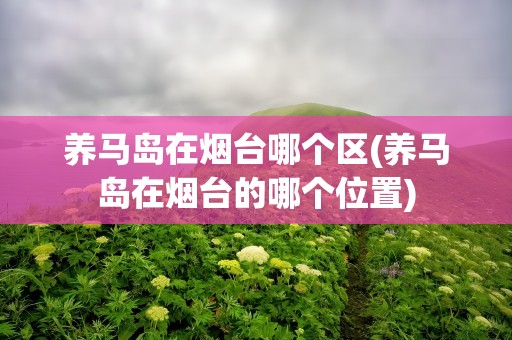 养马岛在烟台哪个区(养马岛在烟台的哪个位置)