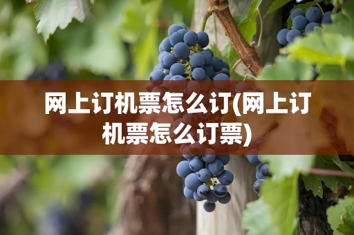 网上订机票怎么订(网上订机票怎么订票)