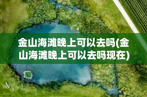 金山海滩晚上可以去吗(金山海滩晚上可以去吗现在)