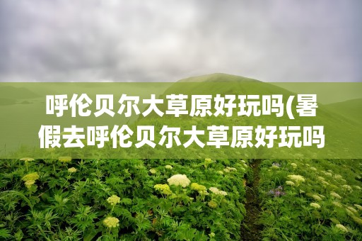 呼伦贝尔大草原好玩吗(暑假去呼伦贝尔大草原好玩吗)