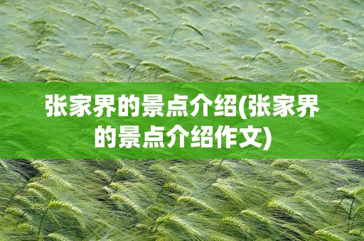 张家界的景点介绍(张家界的景点介绍作文)