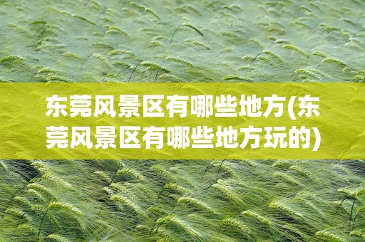 东莞风景区有哪些地方(东莞风景区有哪些地方玩的)