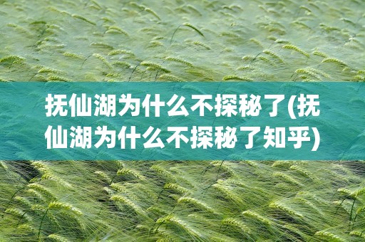 抚仙湖为什么不探秘了(抚仙湖为什么不探秘了知乎)