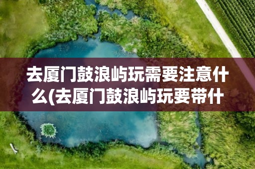 去厦门鼓浪屿玩需要注意什么(去厦门鼓浪屿玩要带什么东西)
