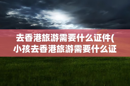 去香港旅游需要什么证件(小孩去香港旅游需要什么证件)
