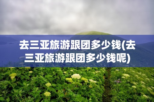 去三亚旅游跟团多少钱(去三亚旅游跟团多少钱呢)