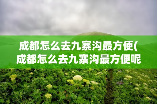 成都怎么去九寨沟最方便(成都怎么去九寨沟最方便呢)