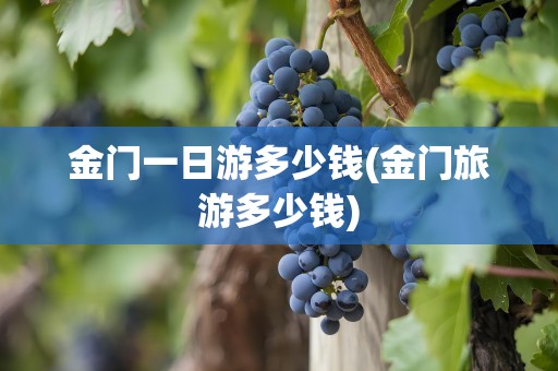 金门一日游多少钱(金门旅游多少钱)
