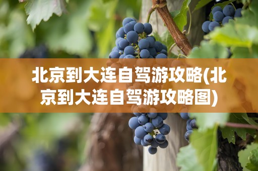 北京到大连自驾游攻略(北京到大连自驾游攻略图)