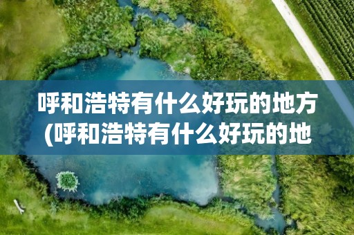 呼和浩特有什么好玩的地方(呼和浩特有什么好玩的地方景点)