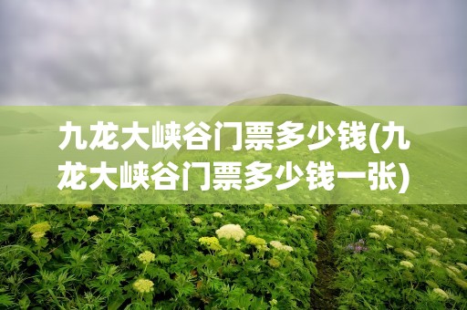 九龙大峡谷门票多少钱(九龙大峡谷门票多少钱一张)