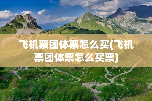 飞机票团体票怎么买(飞机票团体票怎么买票)