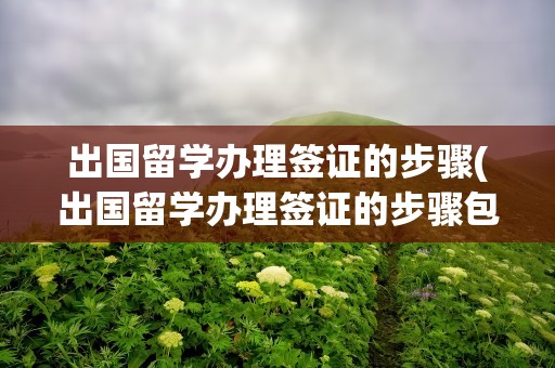 出国留学办理签证的步骤(出国留学办理签证的步骤包括)