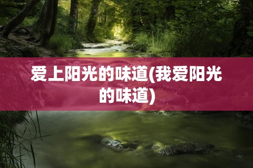 爱上阳光的味道(我爱阳光的味道)