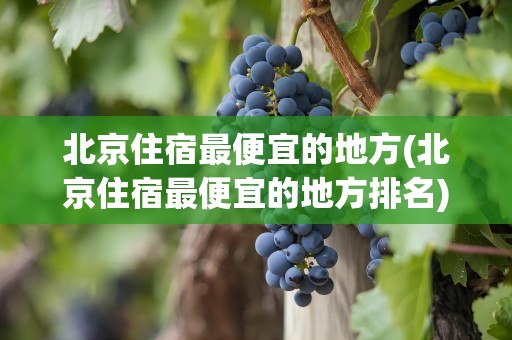 北京住宿最便宜的地方(北京住宿最便宜的地方排名)
