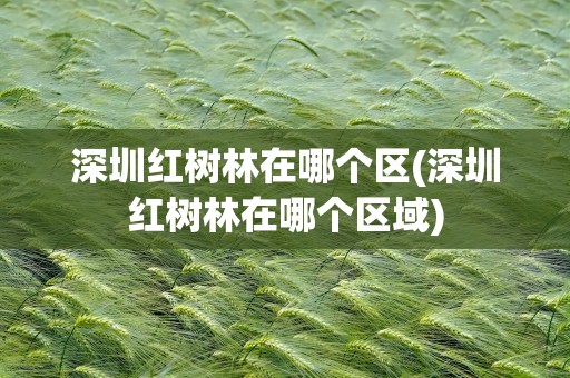 深圳红树林在哪个区(深圳红树林在哪个区域)
