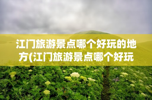 江门旅游景点哪个好玩的地方(江门旅游景点哪个好玩的地方沙滩)