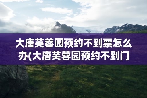 大唐芙蓉园预约不到票怎么办(大唐芙蓉园预约不到门票怎么办)