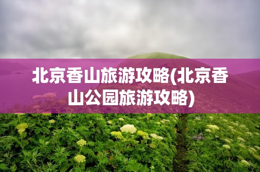 北京香山旅游攻略(北京香山公园旅游攻略)