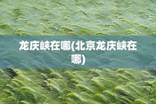 龙庆峡在哪(北京龙庆峡在哪)