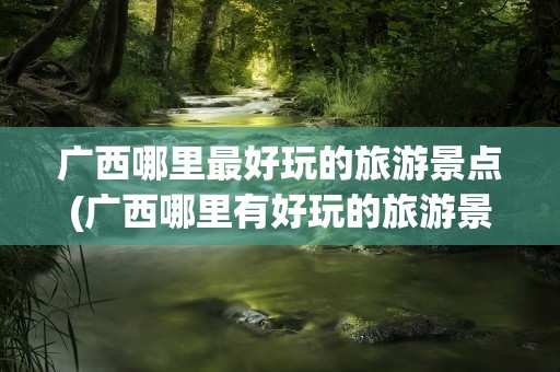 广西哪里最好玩的旅游景点(广西哪里有好玩的旅游景点)
