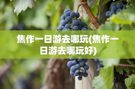 焦作一日游去哪玩(焦作一日游去哪玩好)