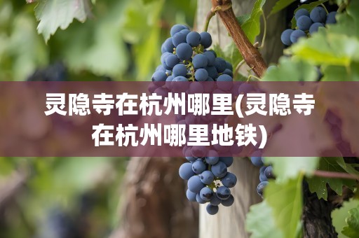 灵隐寺在杭州哪里(灵隐寺在杭州哪里地铁)