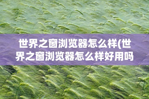 世界之窗浏览器怎么样(世界之窗浏览器怎么样好用吗)