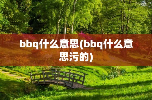 bbq什么意思(bbq什么意思污的)