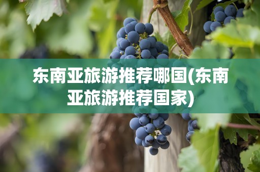 东南亚旅游推荐哪国(东南亚旅游推荐国家)