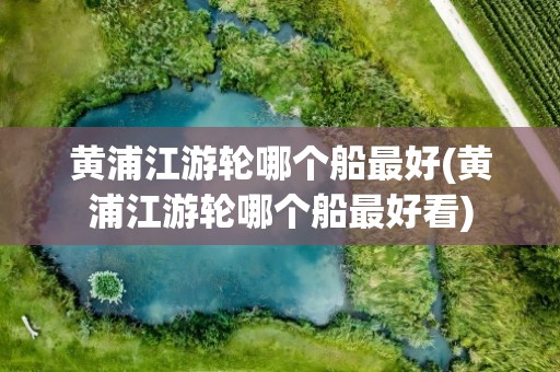 黄浦江游轮哪个船最好(黄浦江游轮哪个船最好看)