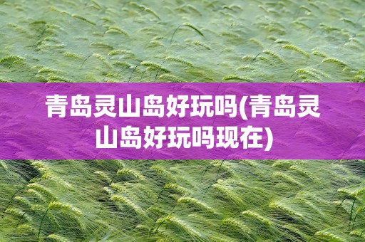 青岛灵山岛好玩吗(青岛灵山岛好玩吗现在)