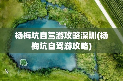 杨梅坑自驾游攻略深圳(杨梅坑自驾游攻略)