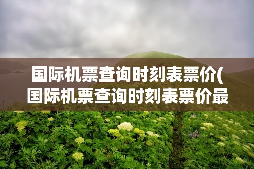国际机票查询时刻表票价(国际机票查询时刻表票价最新)