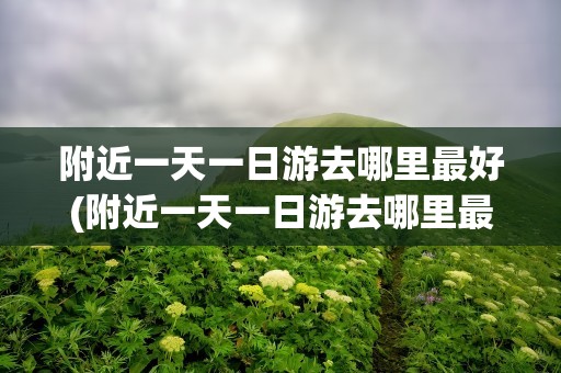 附近一天一日游去哪里最好(附近一天一日游去哪里最好玩)