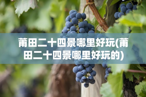 莆田二十四景哪里好玩(莆田二十四景哪里好玩的)