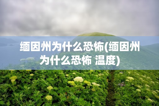 缅因州为什么恐怖(缅因州为什么恐怖 温度)