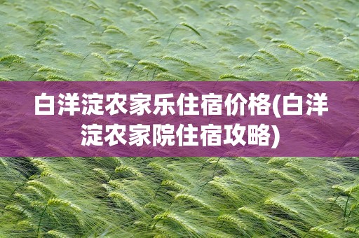 白洋淀农家乐住宿价格(白洋淀农家院住宿攻略)