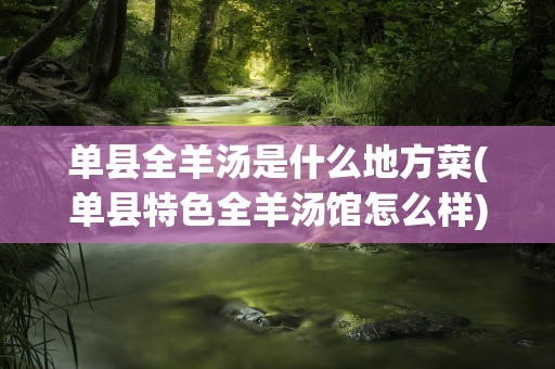 单县全羊汤是什么地方菜(单县特色全羊汤馆怎么样)