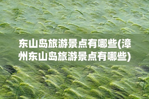 东山岛旅游景点有哪些(漳州东山岛旅游景点有哪些)