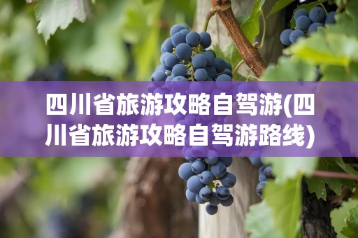 四川省旅游攻略自驾游(四川省旅游攻略自驾游路线)