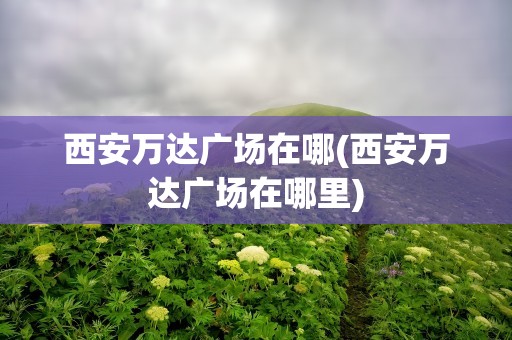 西安万达广场在哪(西安万达广场在哪里)