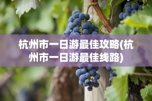 杭州市一日游最佳攻略(杭州市一日游最佳线路)