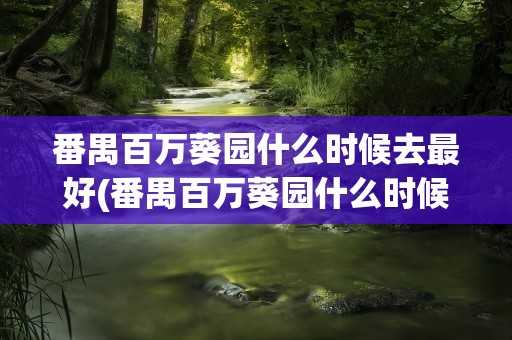 番禺百万葵园什么时候去最好(番禺百万葵园什么时候都有花吗)