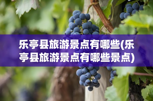乐亭县旅游景点有哪些(乐亭县旅游景点有哪些景点)