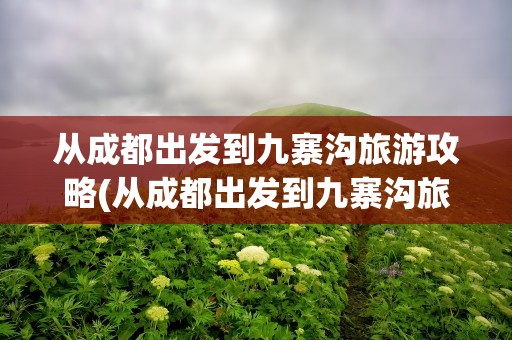 从成都出发到九寨沟旅游攻略(从成都出发到九寨沟旅游攻略路线)