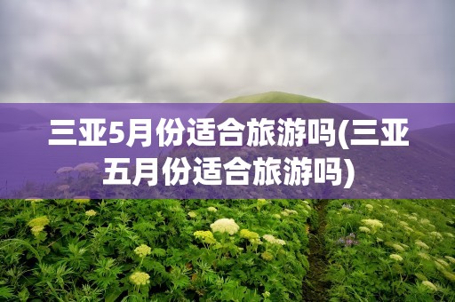三亚5月份适合旅游吗(三亚五月份适合旅游吗)