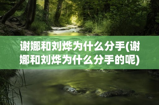 谢娜和刘烨为什么分手(谢娜和刘烨为什么分手的呢)