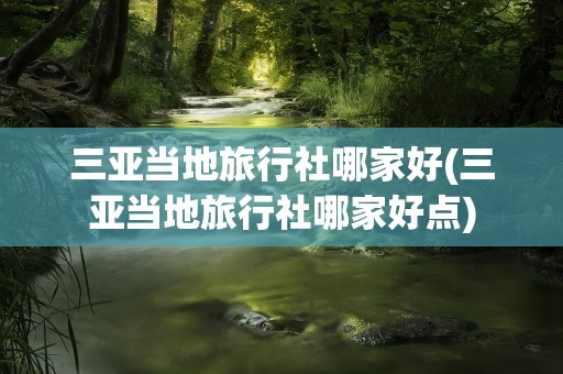 三亚当地旅行社哪家好(三亚当地旅行社哪家好点)